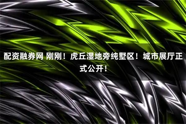 配资融券网 刚刚！虎丘湿地旁纯墅区！城市展厅正式公开！